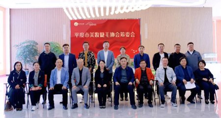 平度市美妆睫毛协会成立筹备会成功召开