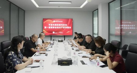 平度市美妆睫毛协会组织了第一届理事会知识产权专题会