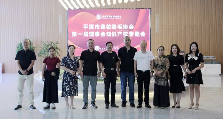 平度市美妆睫毛协会组织了第一届理事会知识产权专题会