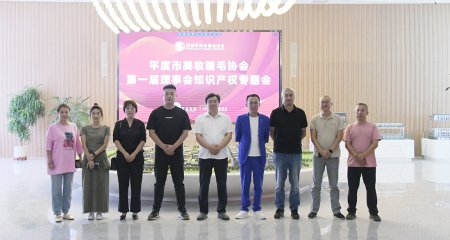 平度市美妆睫毛协会第一届理事会组织了第三次知识产权专题会