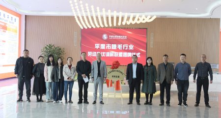 平度市人力资源和社会保障局在美妆产业园举办了睫毛行业劳动调解联盟揭牌仪式！